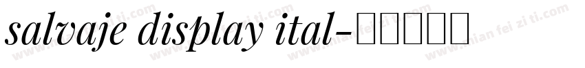 salvaje display ital字体转换